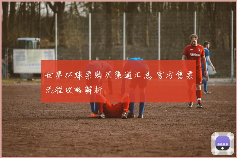 世界杯球票购买渠道汇总 官方售票流程攻略解析
