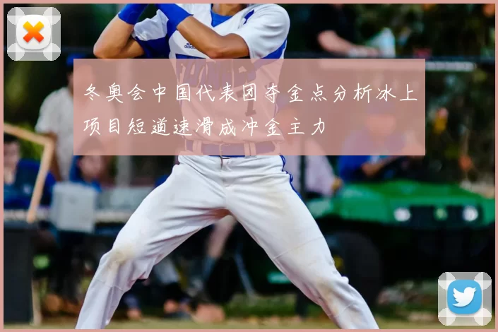 冬奥会中国代表团夺金点分析冰上项目短道速滑成冲金主力